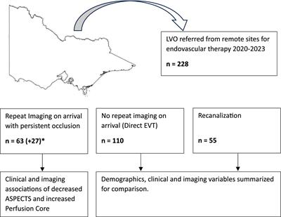 Determinants of infarct progression and perfusion core growth in transferred LVO patients from remote regions